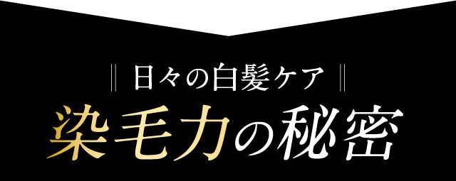 日々の白髪ケア 染毛力の秘密