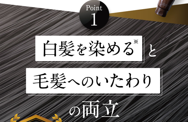 白髪を染めると毛髪へのいたわりの両立