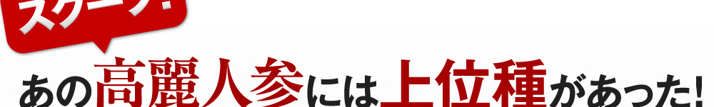 スクープ！あの高麗人参には上位種があった！