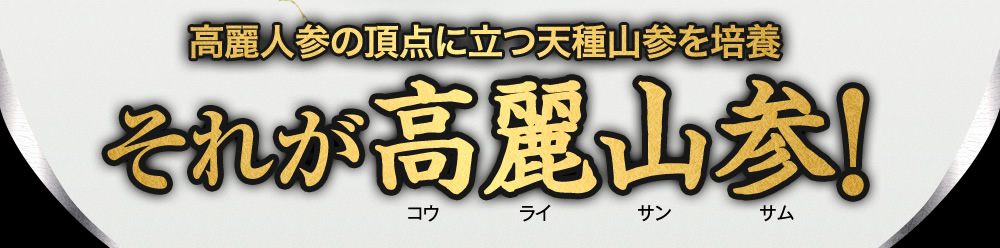 高麗人参の頂点に立つ天種山参を培養それが百歳山参！